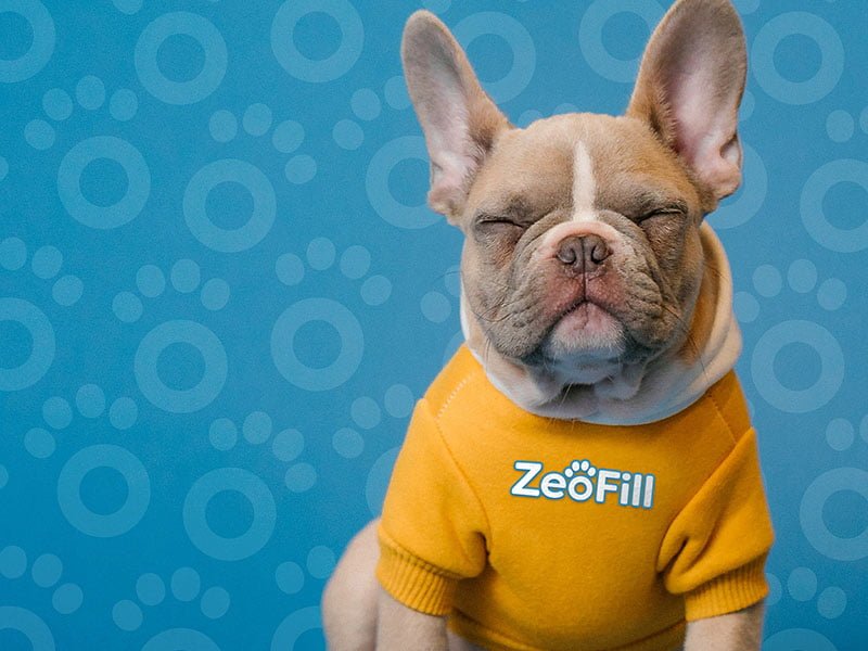 Andrew-Stickelman-Portfolio-ZeoFill-Rebrand-09